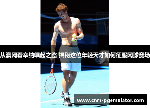 从澳网看辛纳崛起之路 揭秘这位年轻天才如何征服网球赛场