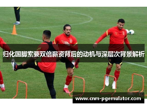 归化国脚索要双倍薪资背后的动机与深层次背景解析