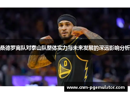 桑德罗离队对泰山队整体实力与未来发展的深远影响分析