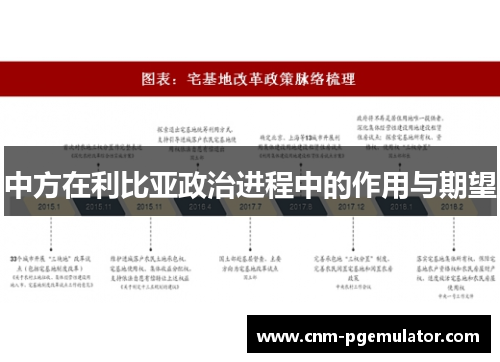 中方在利比亚政治进程中的作用与期望