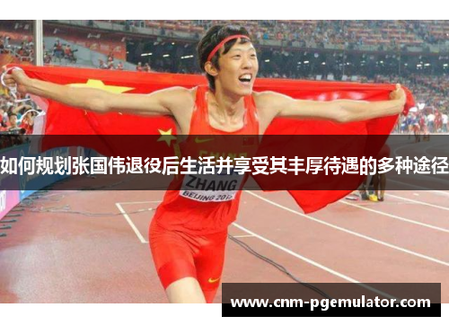 如何规划张国伟退役后生活并享受其丰厚待遇的多种途径