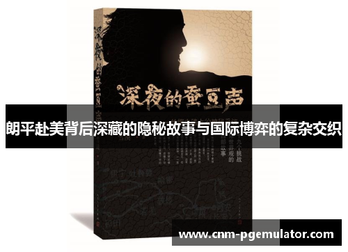 朗平赴美背后深藏的隐秘故事与国际博弈的复杂交织