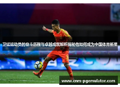 卫猛运动员的奋斗历程与卓越成就解析揭秘他如何成为中国体育新星