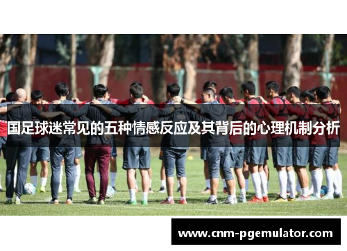 国足球迷常见的五种情感反应及其背后的心理机制分析