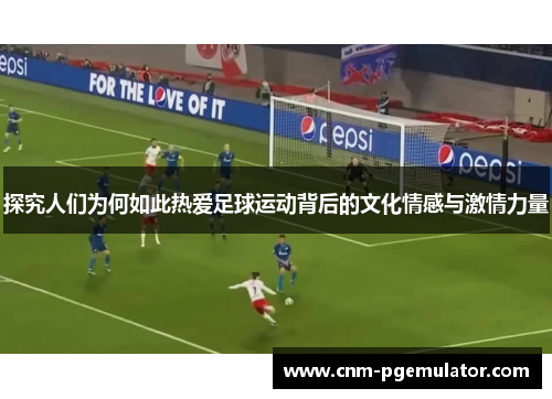 探究人们为何如此热爱足球运动背后的文化情感与激情力量