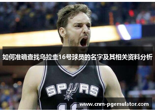 如何准确查找乌拉圭16号球员的名字及其相关资料分析