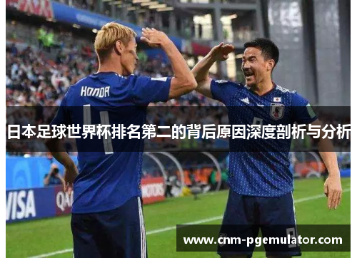 日本足球世界杯排名第二的背后原因深度剖析与分析