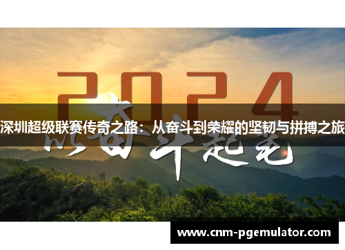 深圳超级联赛传奇之路：从奋斗到荣耀的坚韧与拼搏之旅