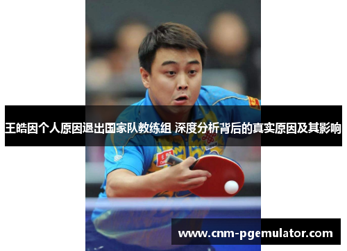 王皓因个人原因退出国家队教练组 深度分析背后的真实原因及其影响