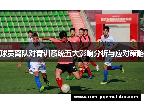 球员离队对青训系统五大影响分析与应对策略