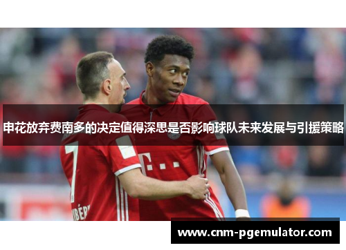 申花放弃费南多的决定值得深思是否影响球队未来发展与引援策略
