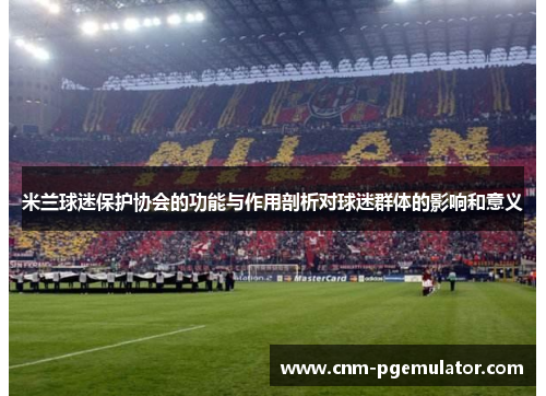 米兰球迷保护协会的功能与作用剖析对球迷群体的影响和意义