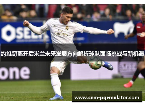 约维奇离开后米兰未来发展方向解析球队面临挑战与新机遇