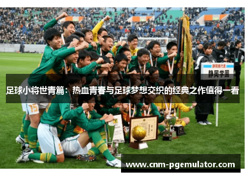 足球小将世青篇：热血青春与足球梦想交织的经典之作值得一看