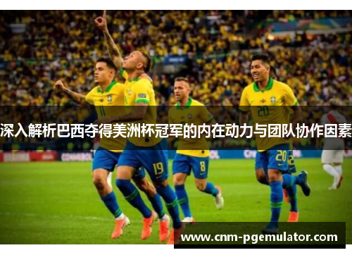 深入解析巴西夺得美洲杯冠军的内在动力与团队协作因素