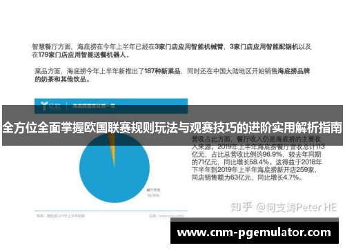 全方位全面掌握欧国联赛规则玩法与观赛技巧的进阶实用解析指南