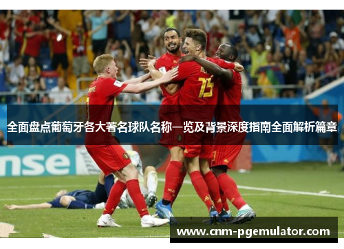 全面盘点葡萄牙各大著名球队名称一览及背景深度指南全面解析篇章