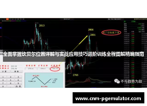 全面掌握坎贝尔位置详解与实战应用技巧进阶训练全程图解精编指南