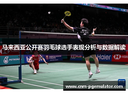 马来西亚公开赛羽毛球选手表现分析与数据解读