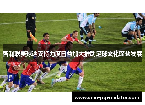 智利联赛球迷支持力度日益加大推动足球文化蓬勃发展